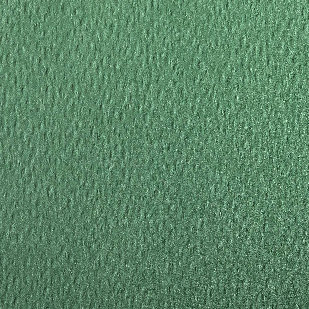 CLAIREFONTAINE Etival Coloured Paper 50x65cm 160g 24s Deep Green