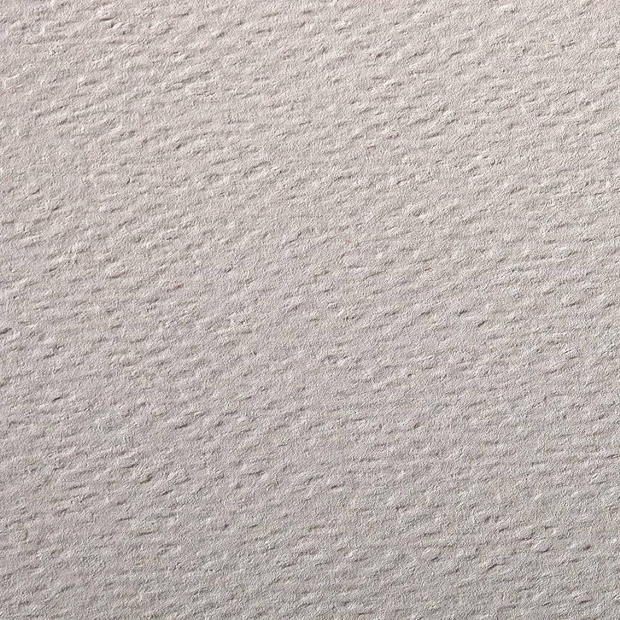 CLAIREFONTAINE Etival Coloured Paper 50x65cm 160g 24s Pink Grey