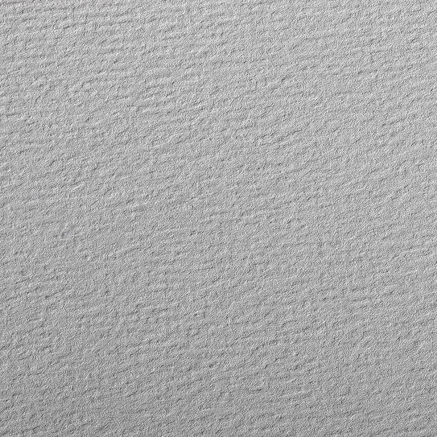 CLAIREFONTAINE Etival Coloured Paper 50x65cm 160g 24s Grey