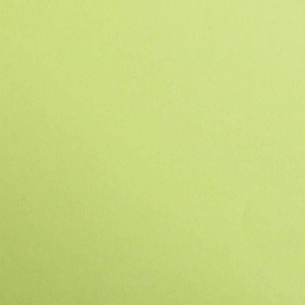 CLAIREFONTAINE Maya Coloured Paper A3 270g 1s Moss Green
