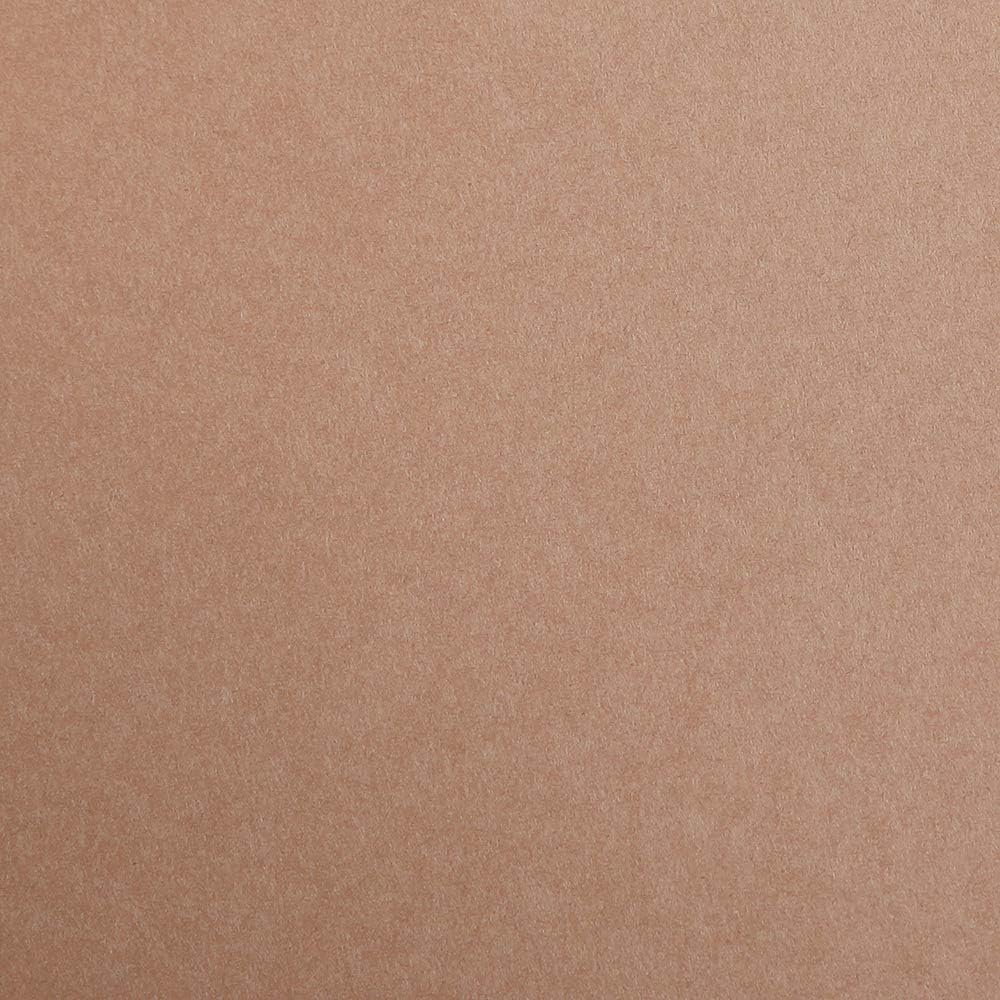 CLAIREFONTAINE Maya Coloured Paper A4 185g 1s Brown