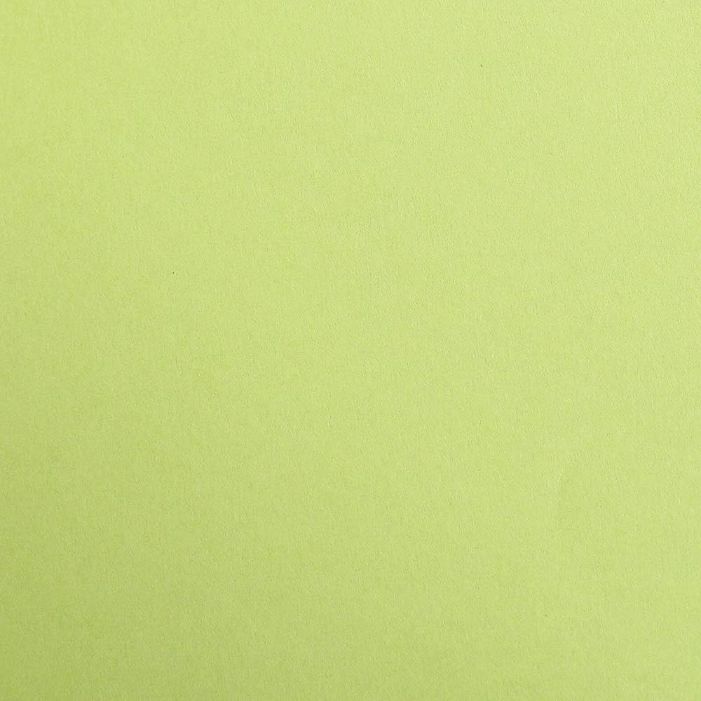 CLAIREFONTAINE Maya Coloured Paper A4 185g 1s Moss Green