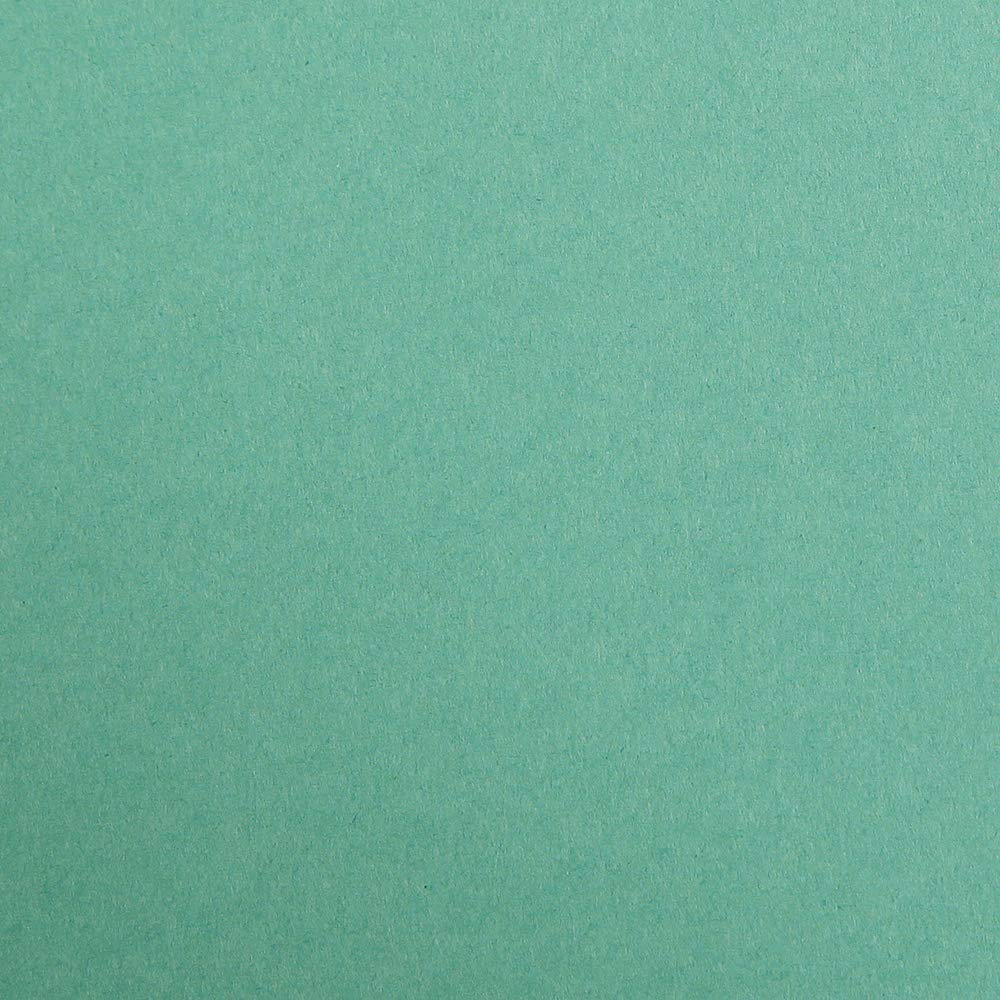 CLAIREFONTAINE Maya Coloured Paper A4 185g 1s Dark Green