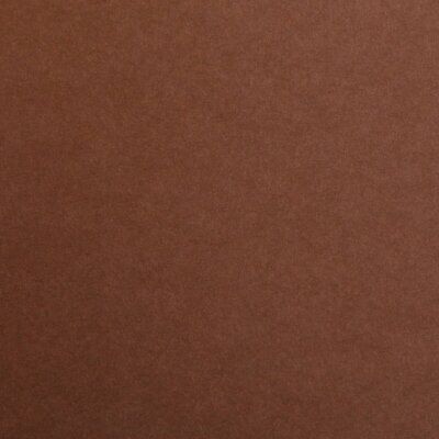 CLAIREFONTAINE Maya Coloured Paper 50x70cm 120g 1s Brown