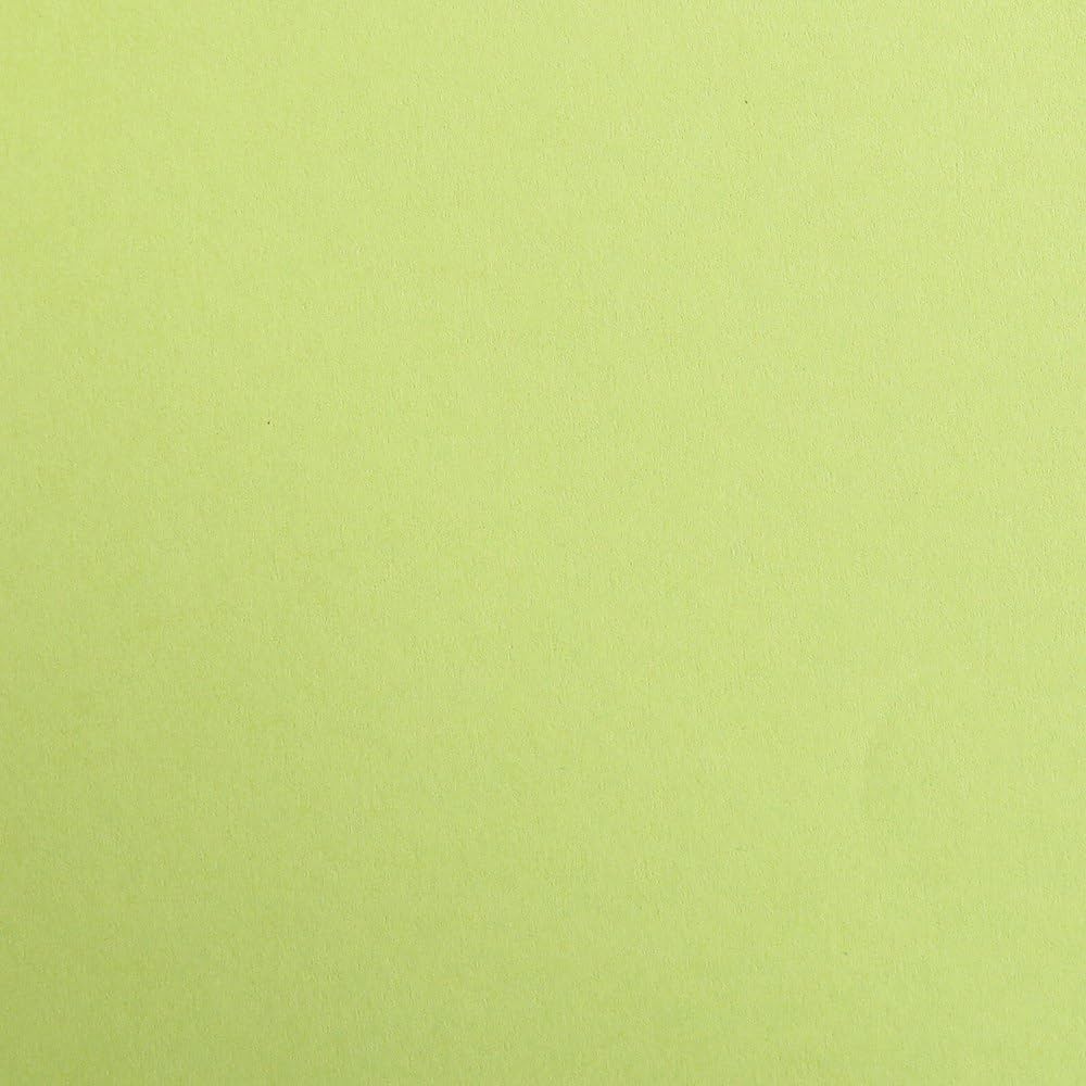 CLAIREFONTAINE Maya Coloured Paper 50x70cm 120g 1s Moss Green