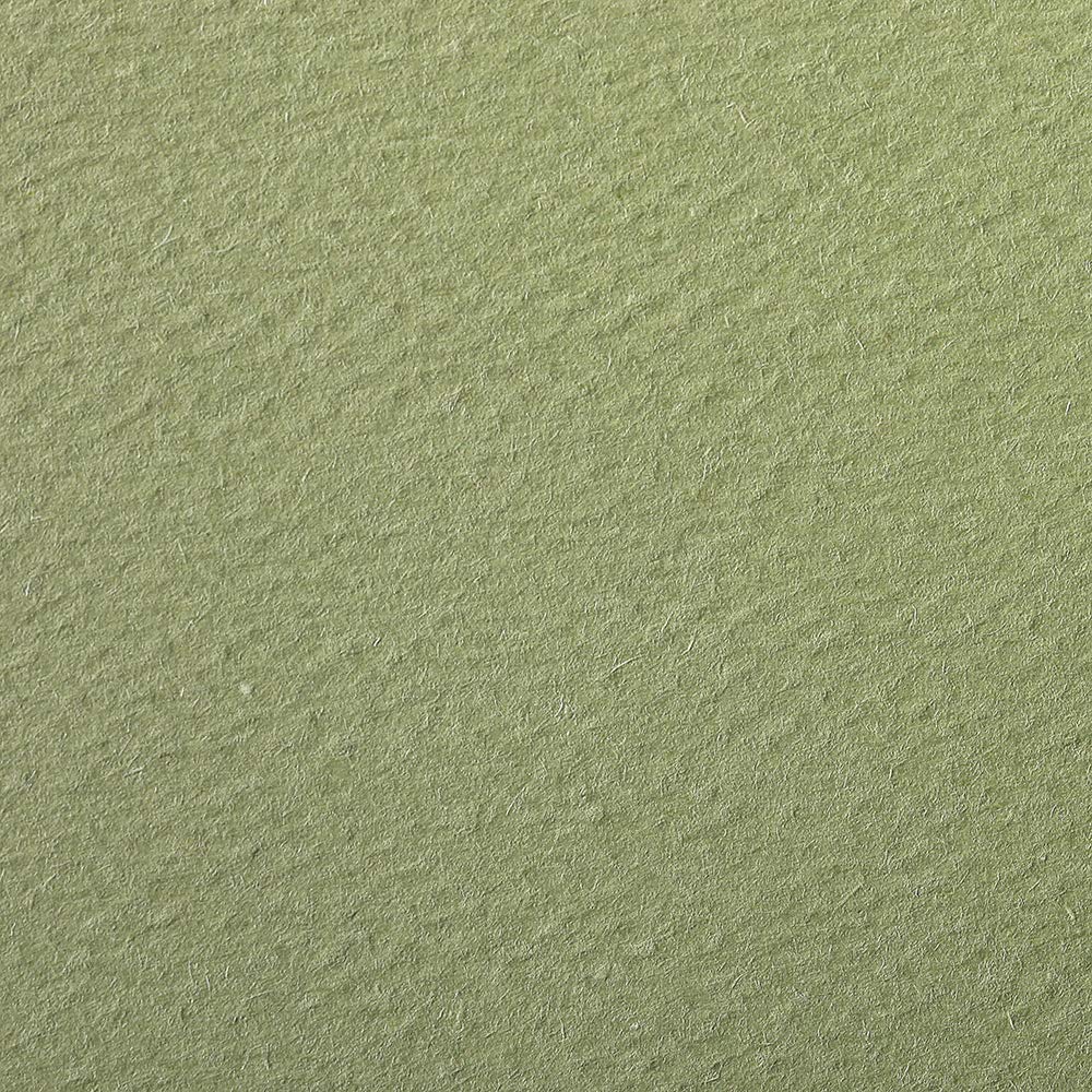 CLAIREFONTAINE Etival Coloured Paper A4 160g 1s Almond Green