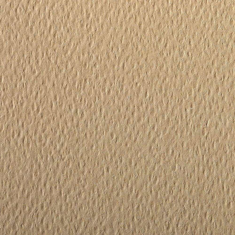 CLAIREFONTAINE Etival Coloured Paper A4 160g 1s Camel