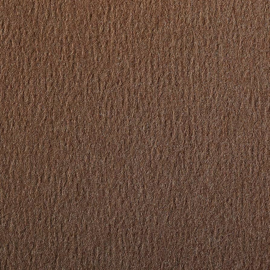 CLAIREFONTAINE Etival Coloured Paper A4 160g 1s Brown