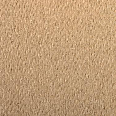 CLAIREFONTAINE Etival Coloured Paper 50x65cm 160g 1s Camel
