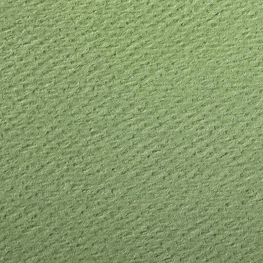 CLAIREFONTAINE Etival Coloured Paper A3 160g 1s Apple Green