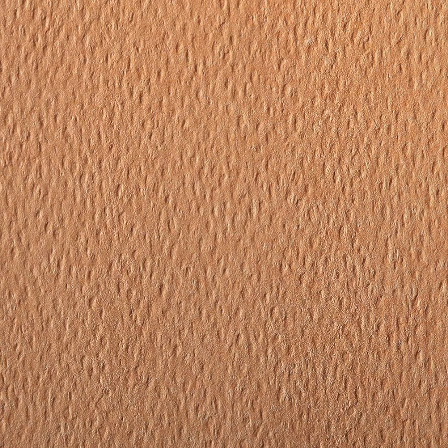 CLAIREFONTAINE Etival Coloured Paper A3 160g 1s Salmon