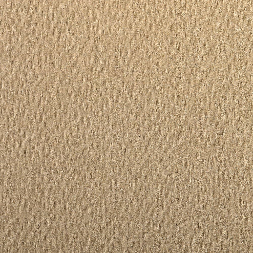 CLAIREFONTAINE Etival Coloured Paper A3 160g 1s Camel