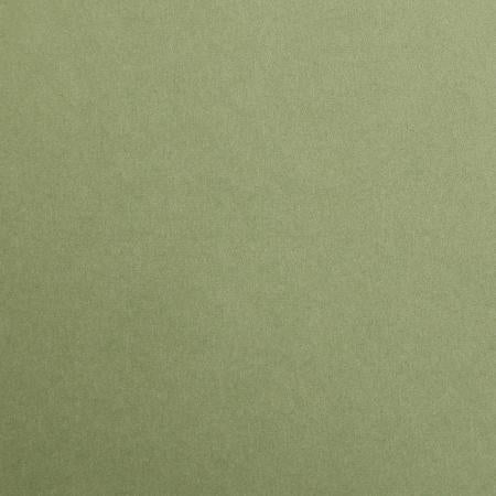 CLAIREFONTAINE Maya Coloured Paper 50x70cm 185g 1s Khaki