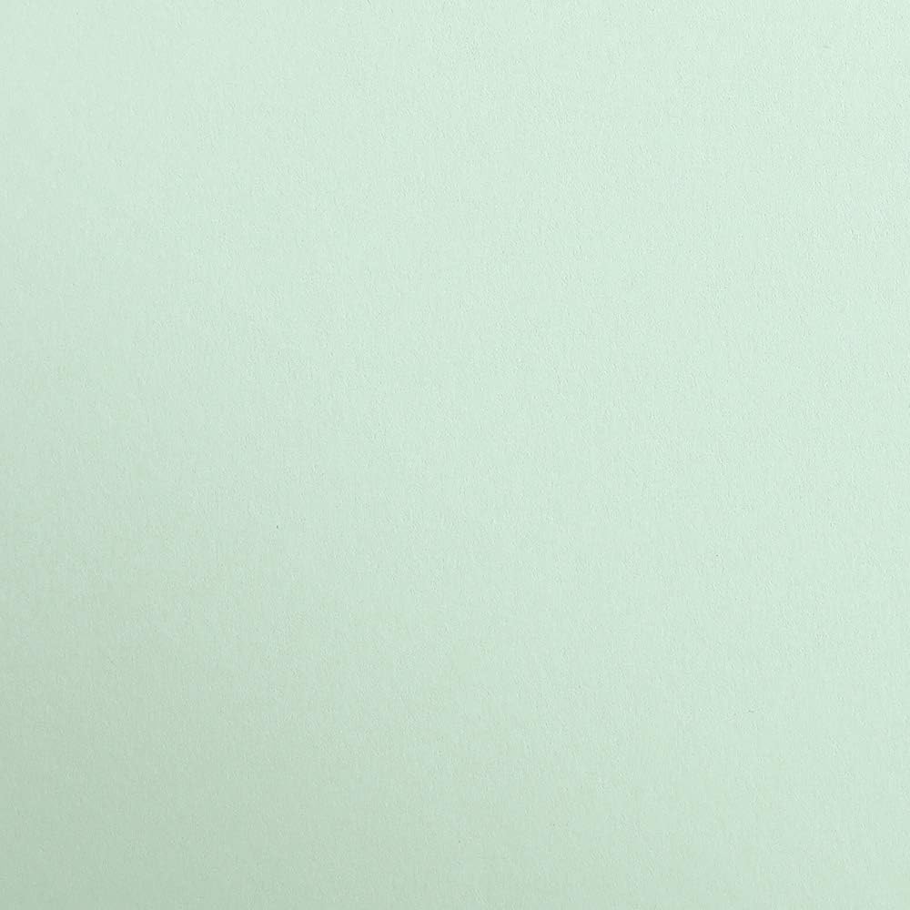 CLAIREFONTAINE Maya Coloured Paper A3 185g 1s Mint