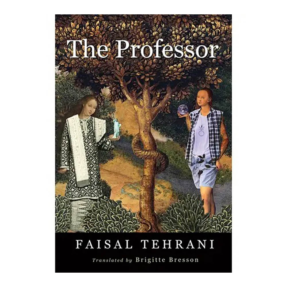 The Professor by Faisal Tehrani & Brigette Bresson (Translator)
