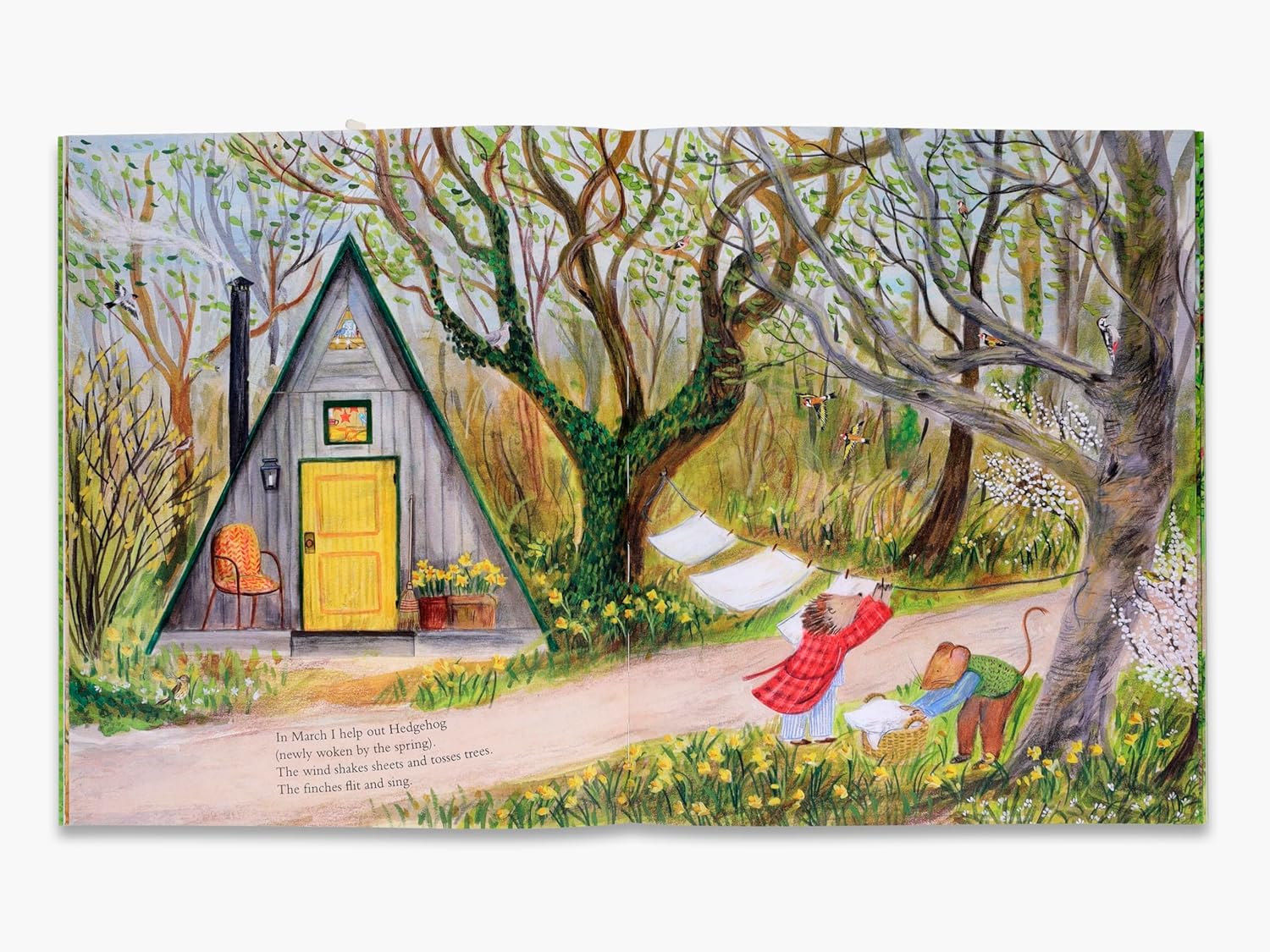 Mouse's Wood A Year In Nature by Alice Melvin