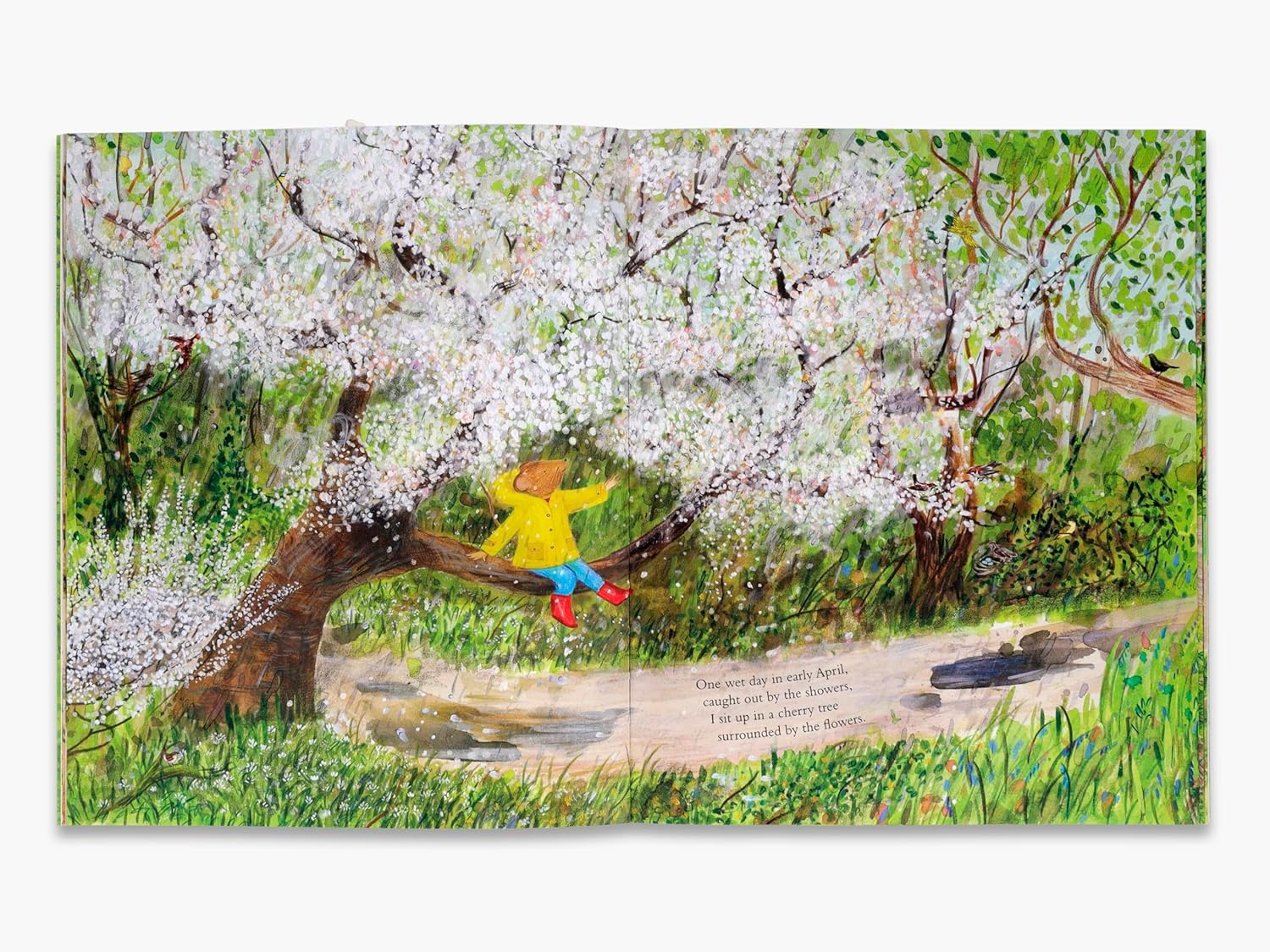 Mouse's Wood A Year In Nature by Alice Melvin