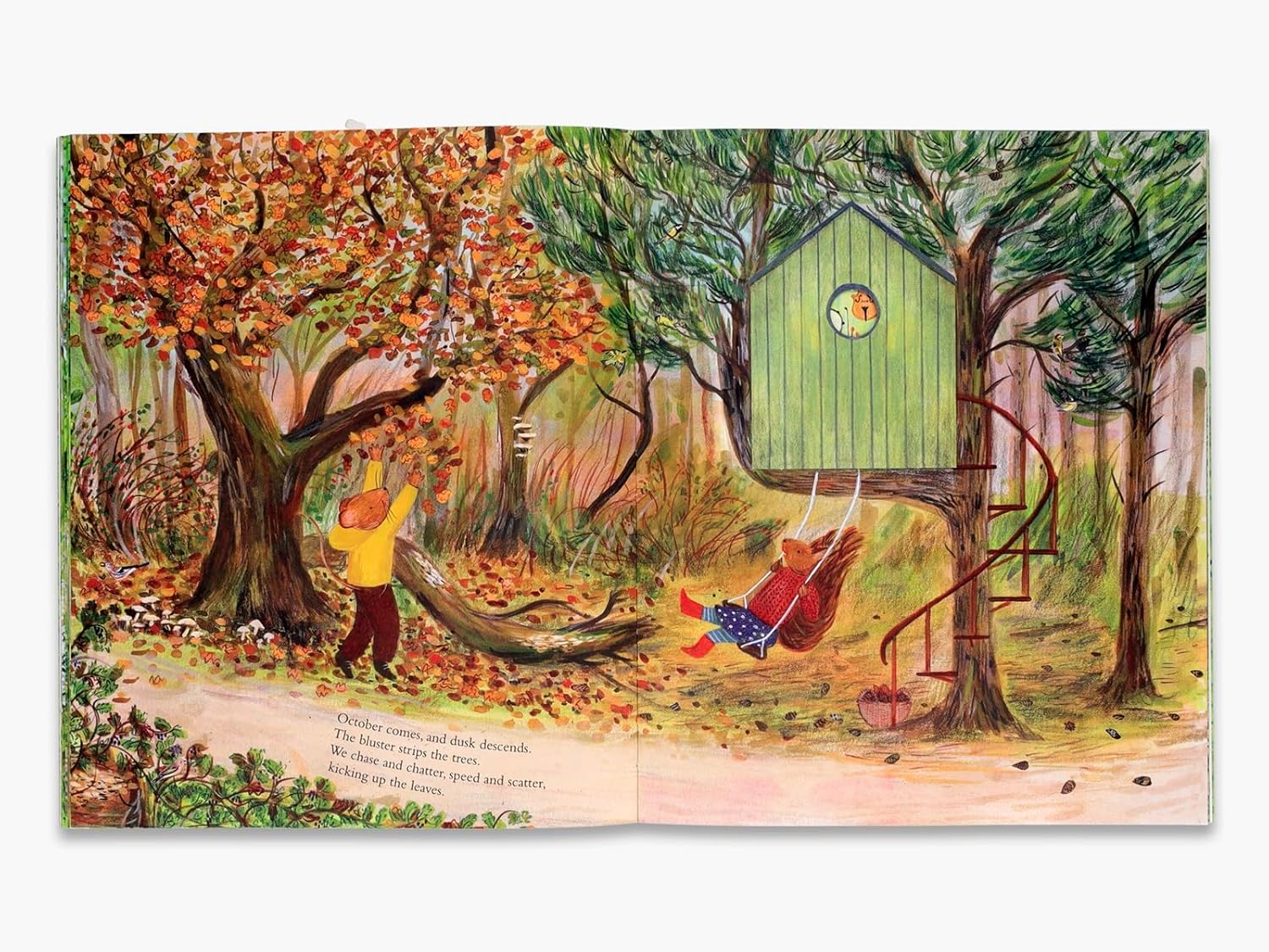 Mouse's Wood A Year In Nature by Alice Melvin