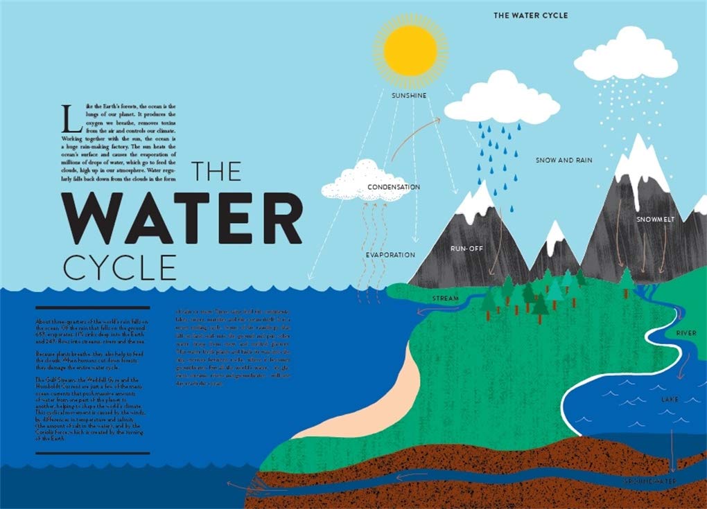 Ocean by Helene Druvert, Emmanuelle Grundmann