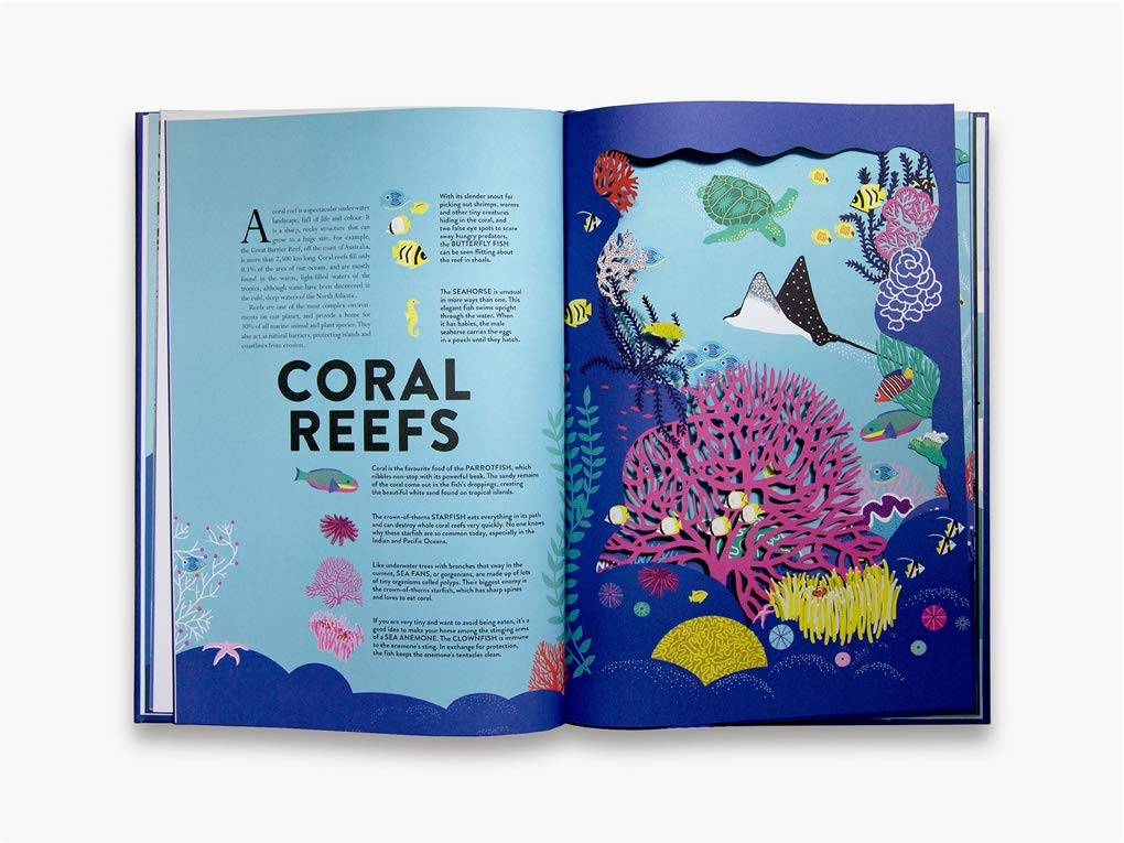 Ocean by Helene Druvert, Emmanuelle Grundmann