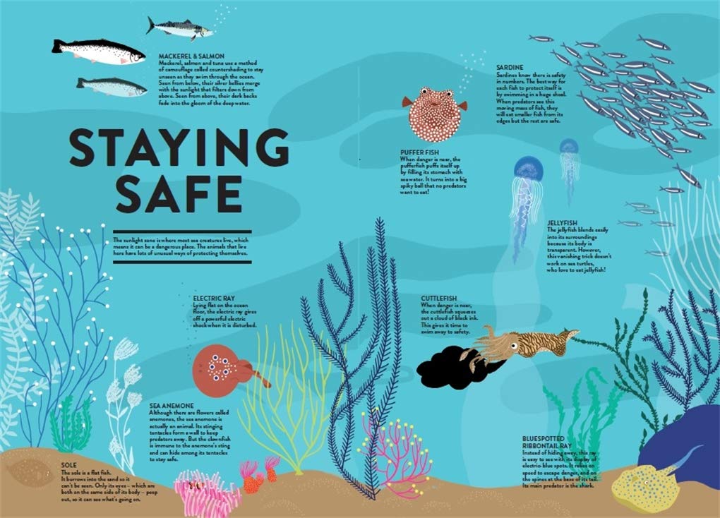 Ocean by Helene Druvert, Emmanuelle Grundmann