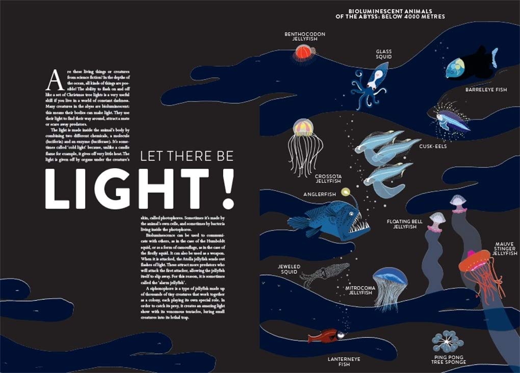 Ocean by Helene Druvert, Emmanuelle Grundmann