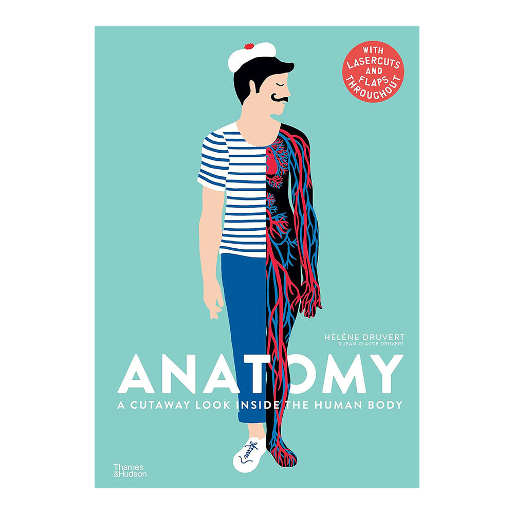 Anatomy: A Cutaway Look Inside The Human Body by Hélène Druvert, Jean-Claude Druvert