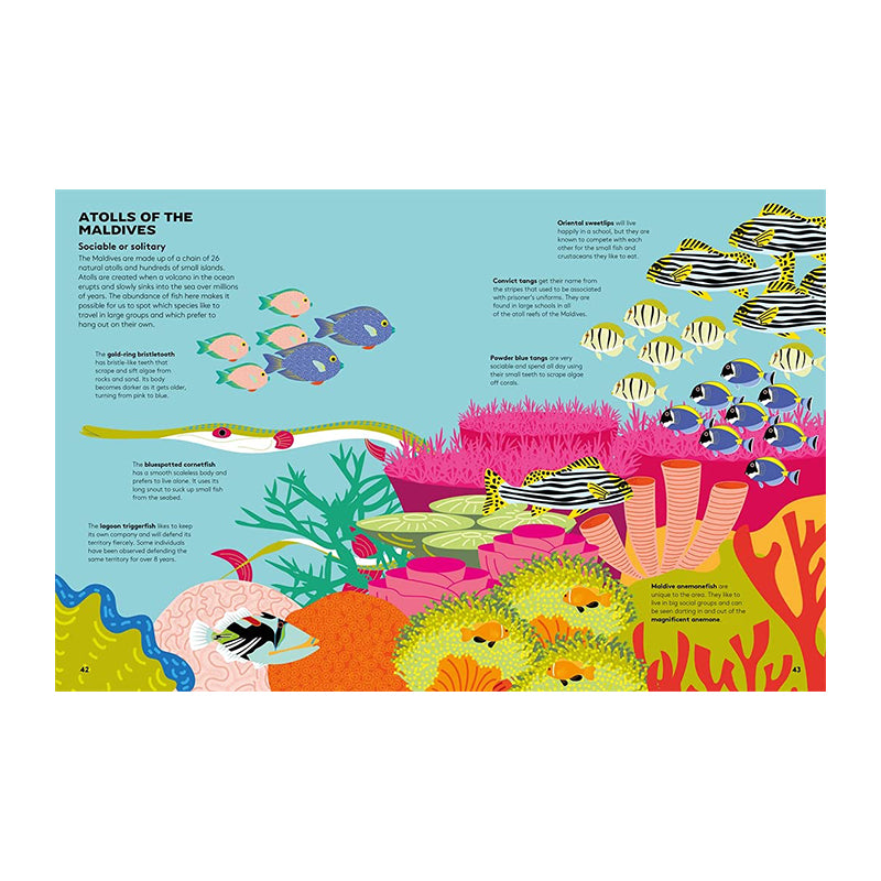 Dart And Dive Across The Reef by Vassiliki Tzomaka
