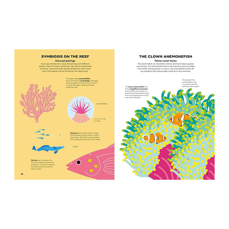 Dart And Dive Across The Reef by Vassiliki Tzomaka