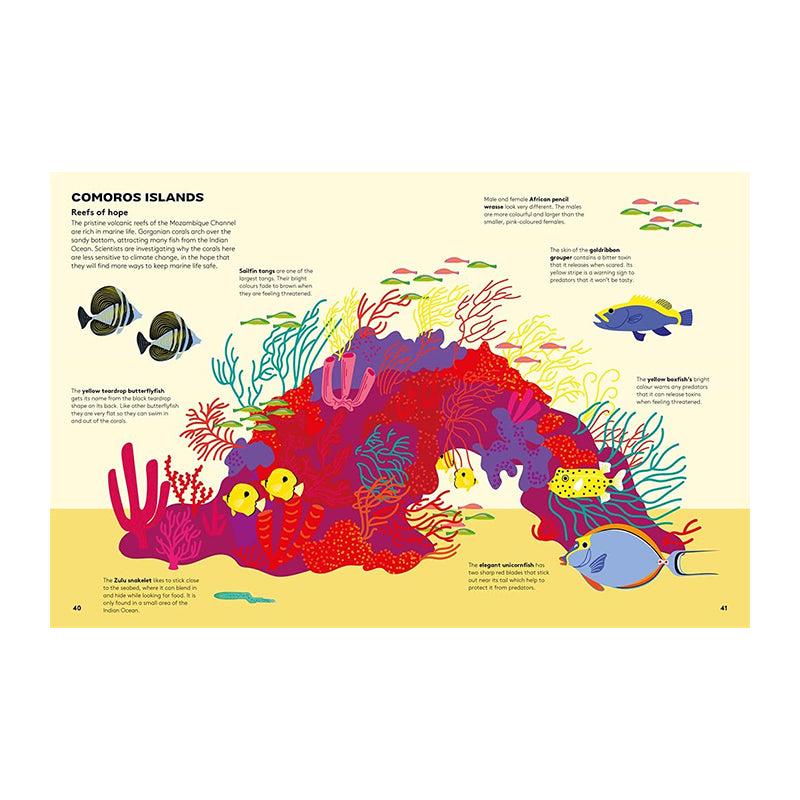 Dart And Dive Across The Reef by Vassiliki Tzomaka