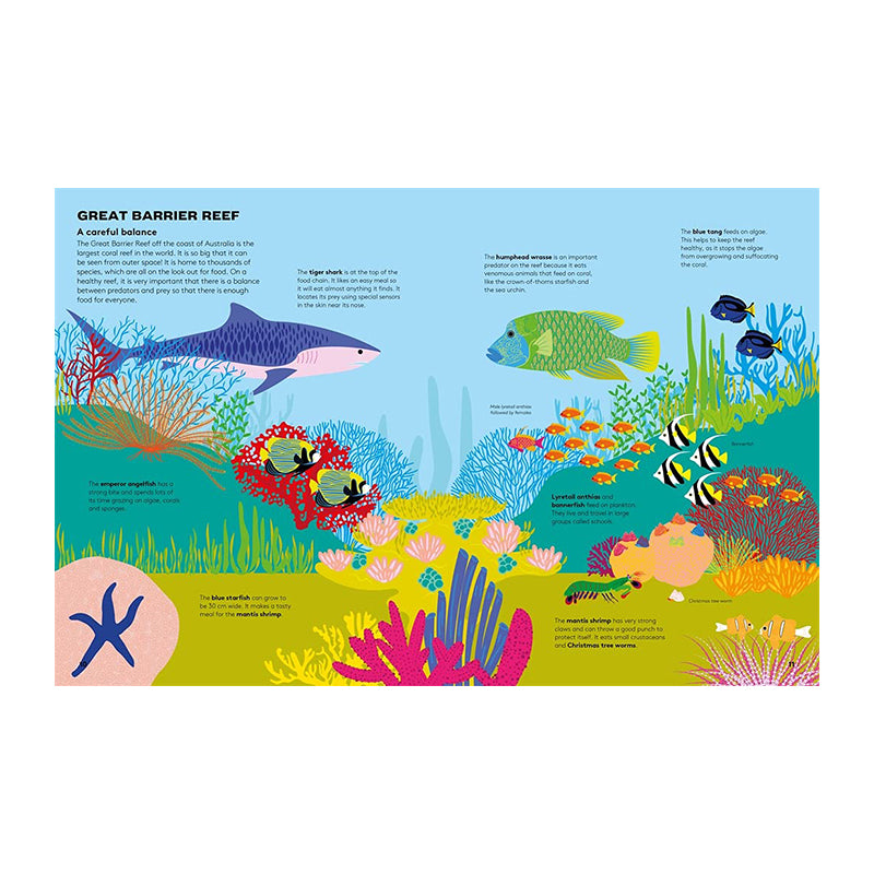 Dart And Dive Across The Reef by Vassiliki Tzomaka