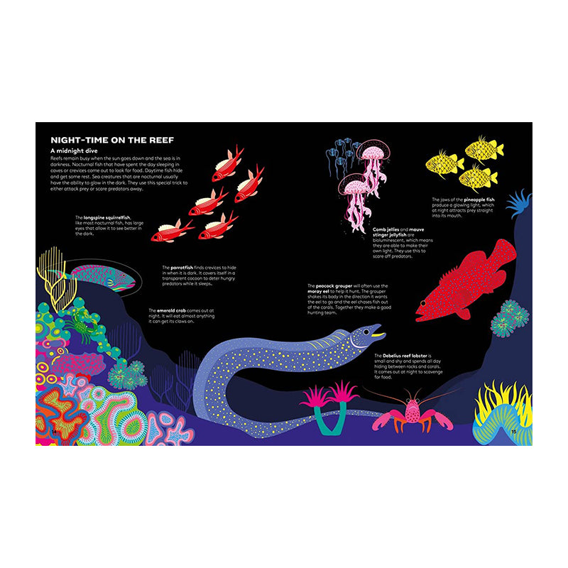 Dart And Dive Across The Reef by Vassiliki Tzomaka