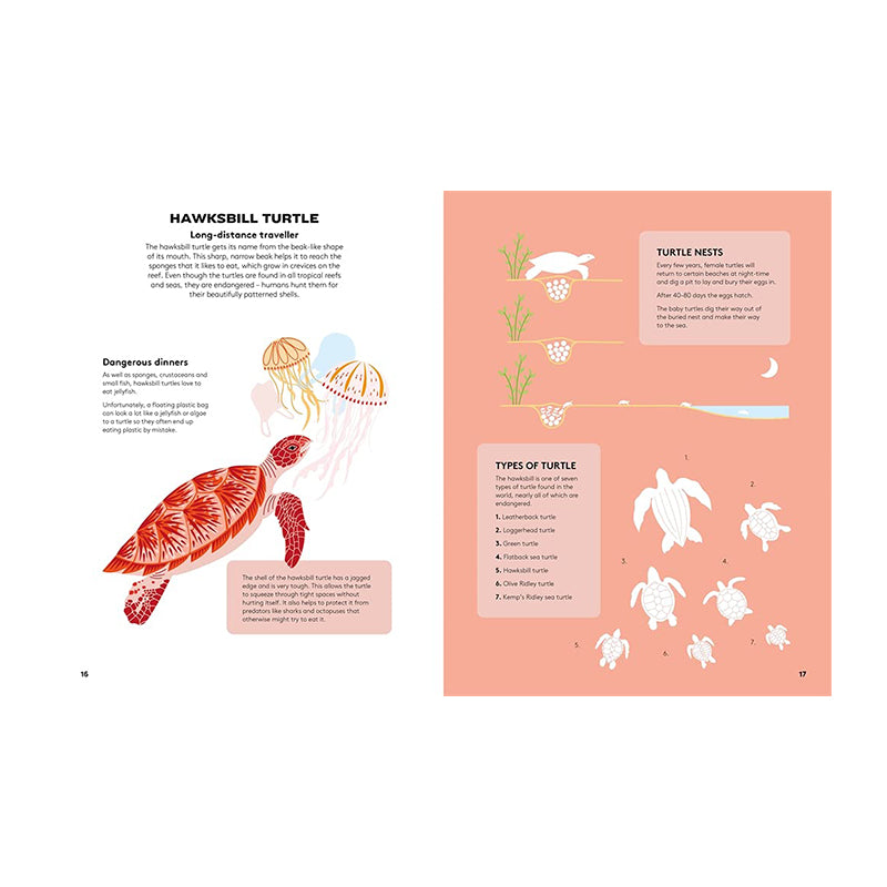 Dart And Dive Across The Reef by Vassiliki Tzomaka