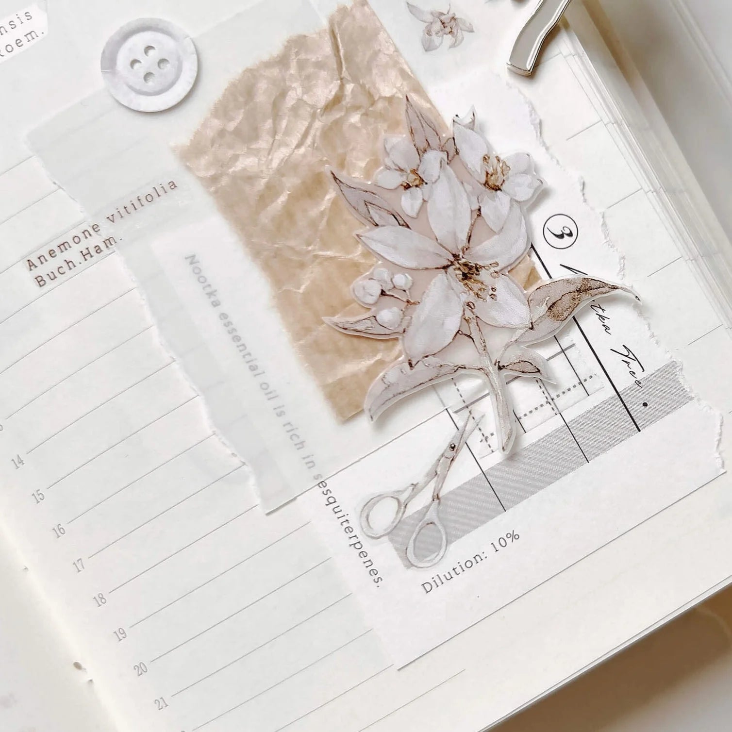 FRECKLES Tea Washi Tape Tangerine 10m