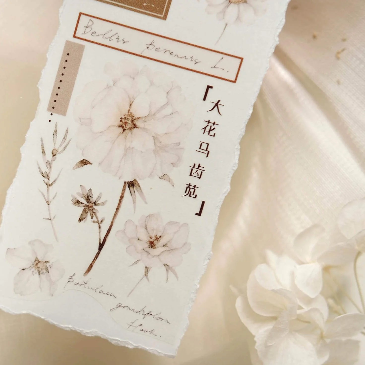 FRECKLES Tea PET Glossy Tape Fall Leaves 10m