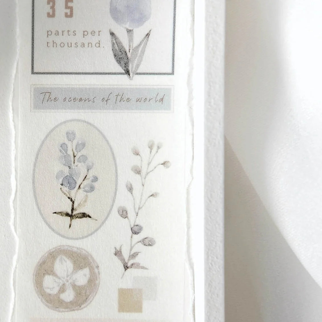 FRECKLES Tea Washi Tape Cicada Rain 10m