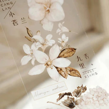 FRECKLES Tea PET Glossy Tape Chestnut Brown 10m