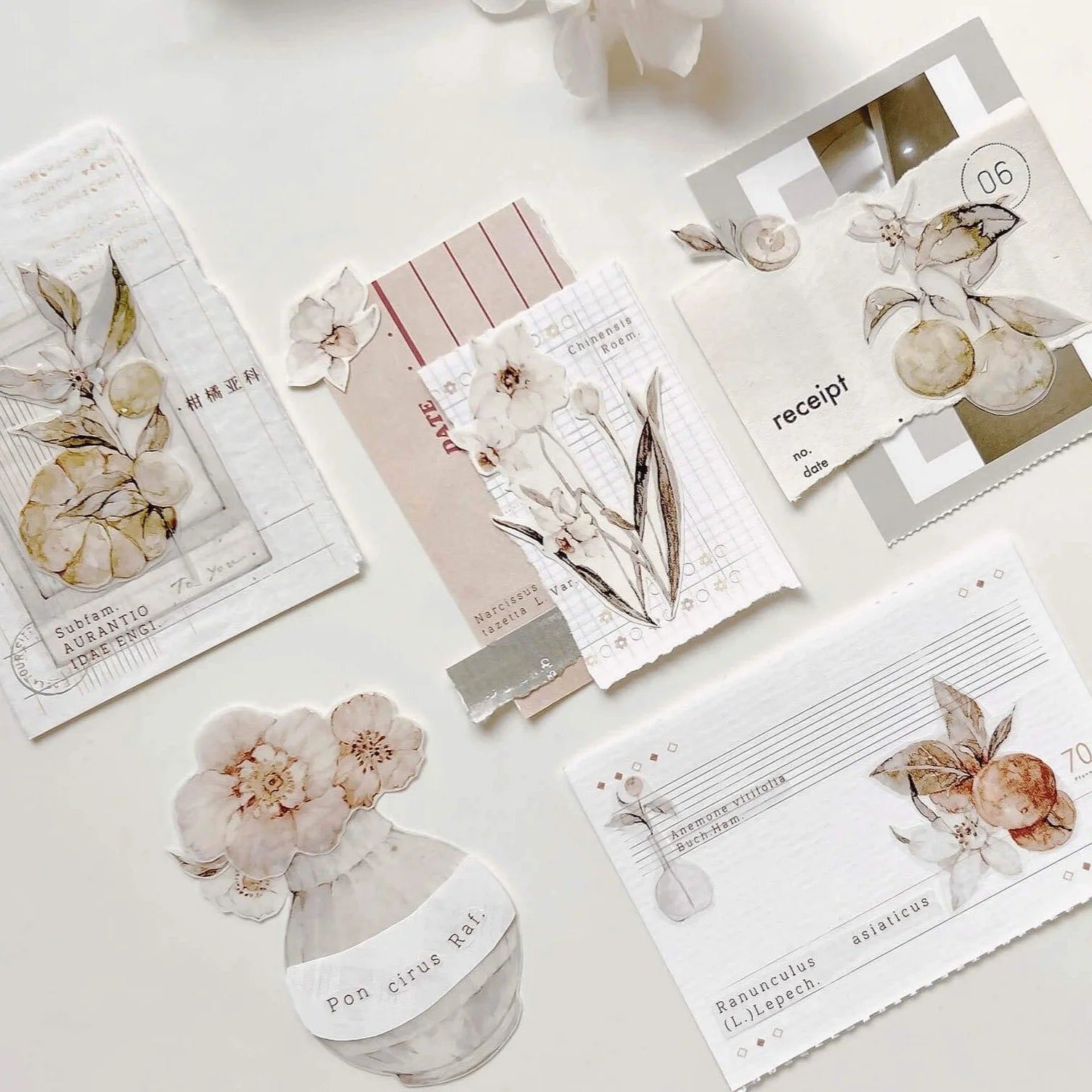 FRECKLES Tea PET Matte Tape Tangerine 10m