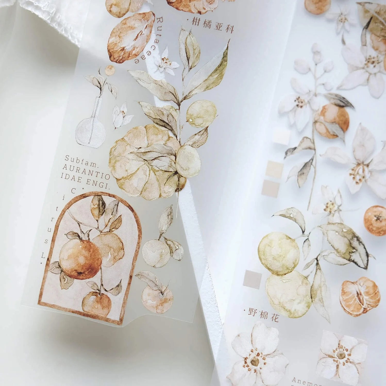 FRECKLES Tea PET Matte Tape Tangerine 10m