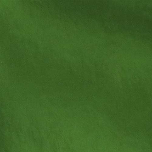 CLAIREFONTAINE Metalized Cardboard 230g 25x35cm 1s Green