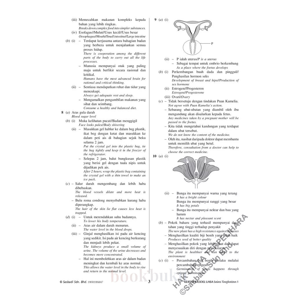 Kertas Model UASA KSSM Sains (Bilingual) Tingkatan 1 (Edisi Semakan)