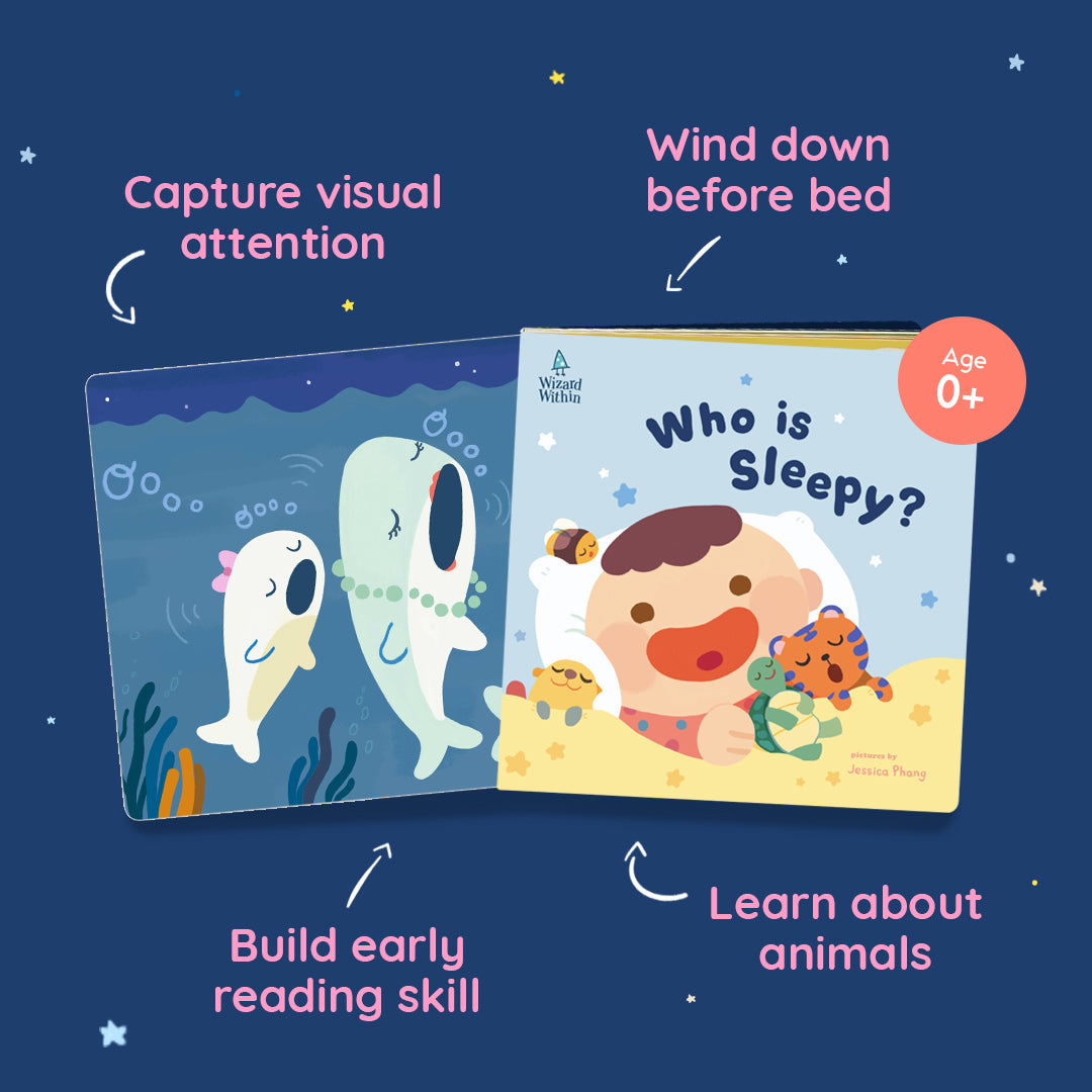 WIZARD WITHIN Goodnight Bedtime Storybook 3-in-1 Box