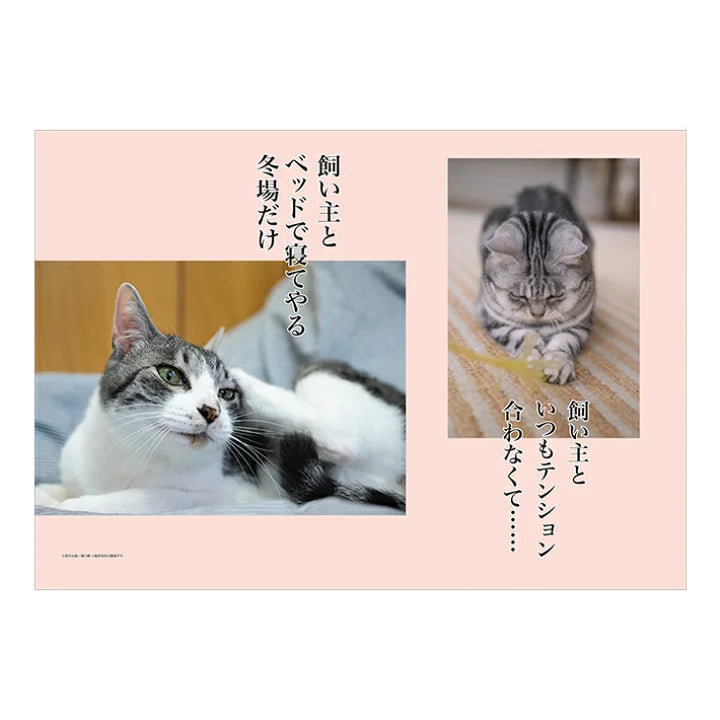 SUN-STAR 2024 Wall Calendar APJ Neko Senryu