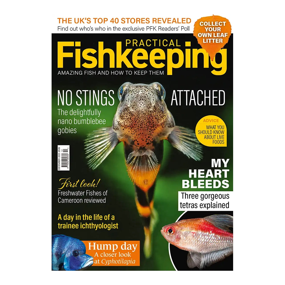 Practical Fishkeeping