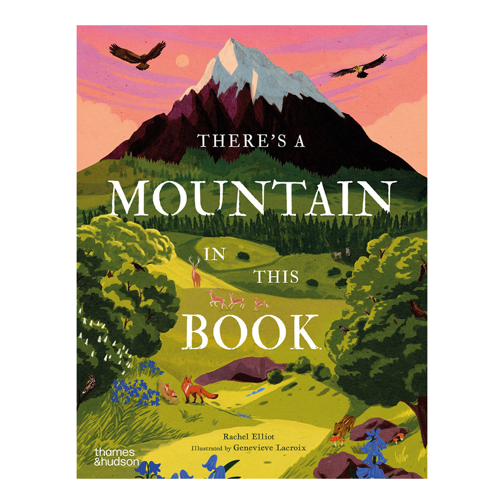 There's A Mountain In This Book by Rachel Elliot and Genevieve Lacroix