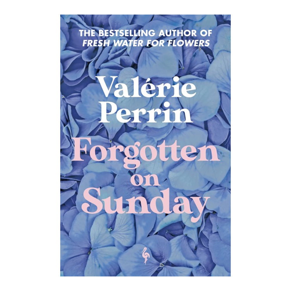 Forgotten on Sunday by Valérie Perrin