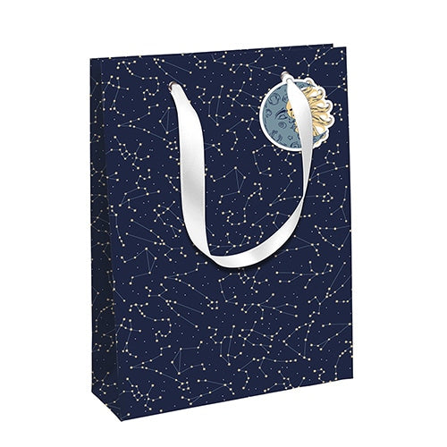 CLAIREFONTAINE Gift Bag Large 26.5x14x33cm Astral