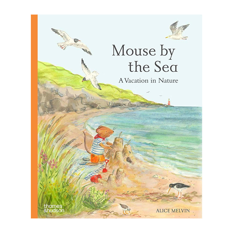 Mouse by the Sea: A Holiday in Nature by Alice Melvin