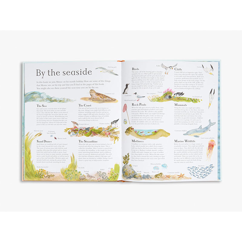 Mouse by the Sea: A Holiday in Nature by Alice Melvin