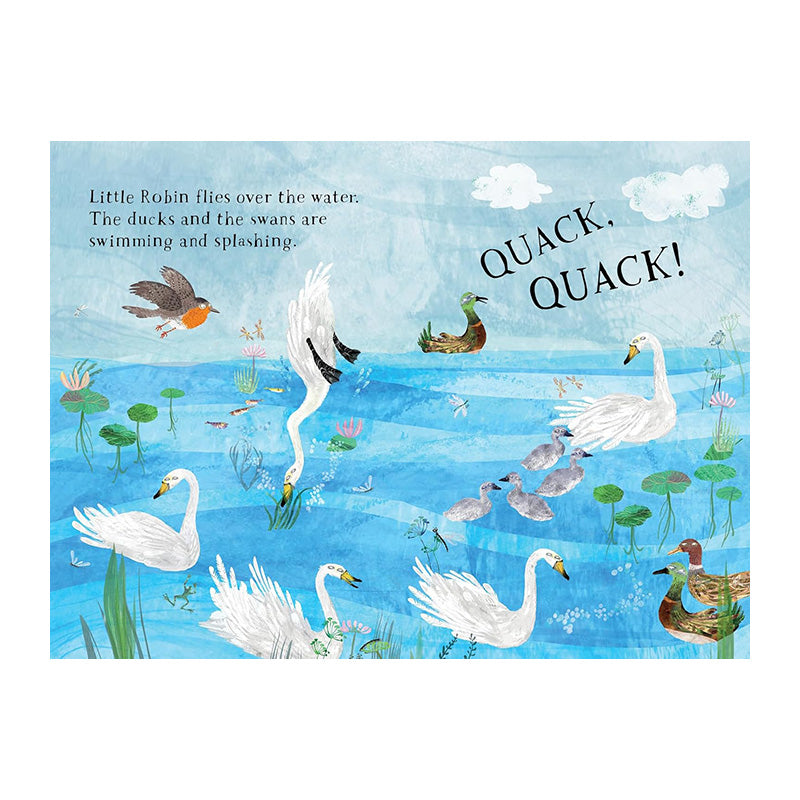 Little Robin's Book of Birds by Yuval Zommer